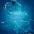dancer, ballet, underwater-2567812.jpg