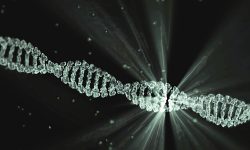 dna, project lumina, walter waymann, dna, dna, dna, dna, dna
