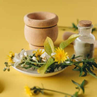 A collection of herbal remedies and natural ingredients on a yellow background, symbolizing holistic health.