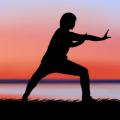 tai-chi-siloette